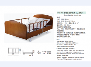 DB-16电动医疗护理床(三功能)