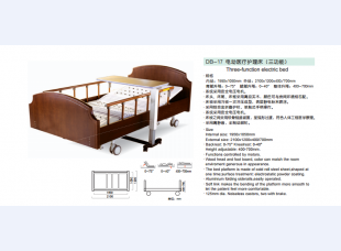 DB-17电动医疗护理床(三功能)